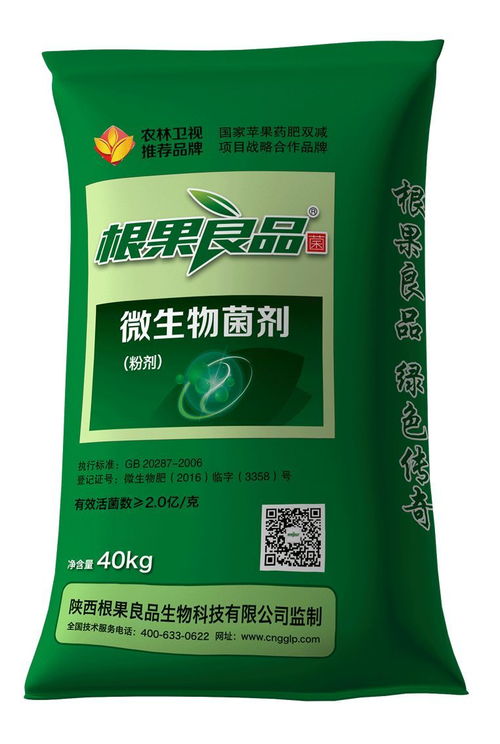 眼見(jiàn)為實(shí) 果樹(shù)告別黃葉 落葉,增強(qiáng)樹(shù)勢(shì)是關(guān)鍵